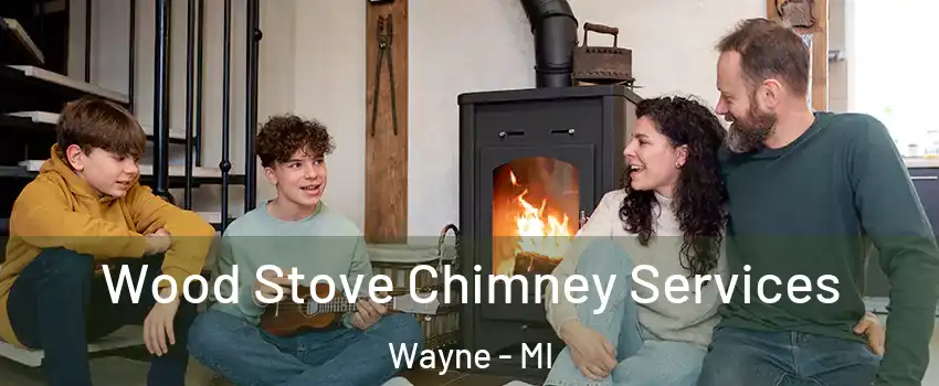 Wood Stove Chimney Services Wayne - MI