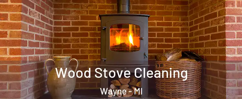 Wood Stove Cleaning Wayne - MI